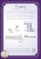 product certificate: W-AAA-859-E-Akoy