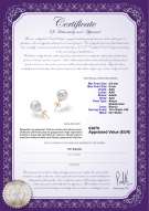  Certificato di prodotto: W-AAA-859-E-Akoy