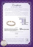 Certificato di prodotto: W-AAAA-78-B