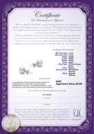  Certificato di prodotto: W-AAAA-78-E-925-SSP