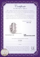 product certificate: W-Alloy-TRP-Clasp-Leeds