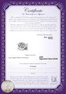 Certificato di prodotto: W-Brass-DBL-Clasp-Lisbon