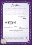 product certificate: W-SS-Ebba-Clasp