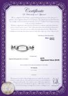 Certificato di prodotto: W-SS-Ebba-Clasp
