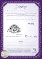 Certificato di prodotto: W-SS-round-clasp-Ragel
