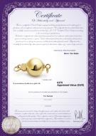 product certificate: Y-14k-ball-clasp