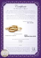 Certificato di prodotto: Y-14k-Fishhook-clasp-WMinster