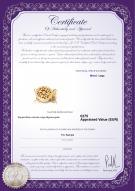 product certificate: Y-Alloy-DBL-Round-Clasp-Nala