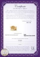 Certificato di prodotto: Y-Alloy-DBL-Round-Clasp-Nala
