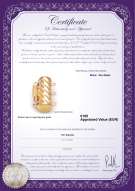 Certificato di prodotto: Y-Alloy-TRP-Clasp-Ohio