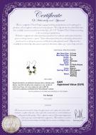 Product certificate: ZFED-9-MGRN