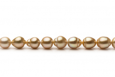 10.1-12.5mm Dei Mari del Sud Collana en 18 pollici Oro