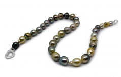 8-10mm Di Tahiti Collana en 16 pollici Multicolore