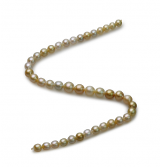 8.2-12mm Dei Mari del Sud Collana en 18 pollici Multicolore