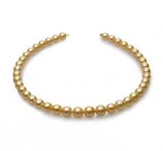 9-12mm Dei Mari del Sud Collana en 18 pollici Oro
