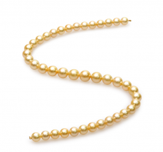 9-12mm Dei Mari del Sud Collana en 18 pollici Oro