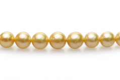 9-12mm Dei Mari del Sud Collana en 18 pollici Oro