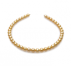 9-11.4mm Dei Mari del Sud Collana en 18 pollici Oro