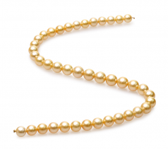 9-11.4mm Dei Mari del Sud Collana en 18 pollici Oro