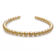 10-13.5mm Dei Mari del Sud Collana en 18 pollici Oro