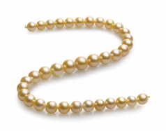 10-13.5mm Dei Mari del Sud Collana en 18 pollici Oro