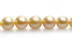 10-13.5mm Dei Mari del Sud Collana en 18 pollici Oro