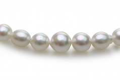 8.3-14mm Dei Mari del Sud Collana en 18 pollici Bianco