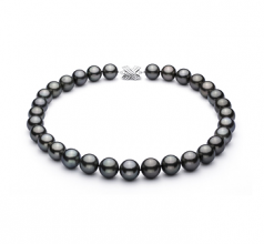 13-15.5mm Di Tahiti Collana en Nero