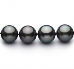 13-15.5mm Di Tahiti Collana en Nero