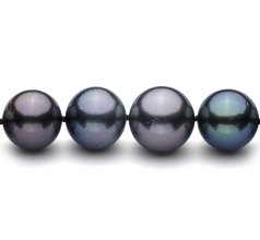 11.1-14.6mm Di Tahiti Collana en Multicolore
