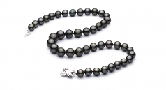 9.5-11mm Di Tahiti Collana en Nero