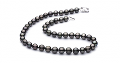 9.2-10.9mm Di Tahiti Collana en Nero