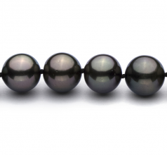 9.2-10.9mm Di Tahiti Collana en Nero