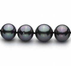 9.1-11mm Di Tahiti Collana en Nero