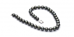 10.9-13.8mm Di Tahiti Collana en Nero