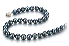 8-8.5mm Akoya Giapponese Collana en Nero