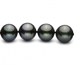 10.9-13.8mm Di Tahiti Collana en Nero