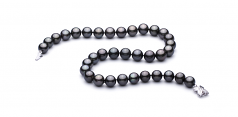 11.1-11.9mm Di Tahiti Collana en Nero