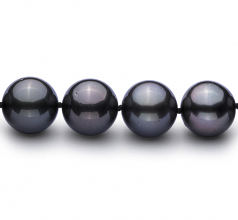 11.1-11.9mm Di Tahiti Collana en Nero