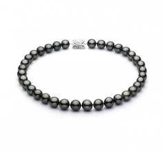 11.1-13.8mm Di Tahiti Collana en Nero