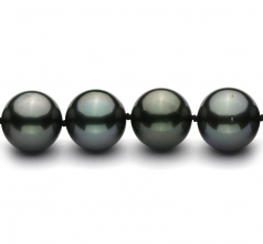 11.1-13.8mm Di Tahiti Collana en Nero