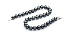 12-12.9mm AAA Quality Di Tahiti Collana in 18'' Nero