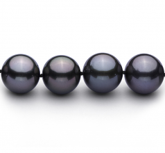 12-13.1mm Di Tahiti Collana en Nero