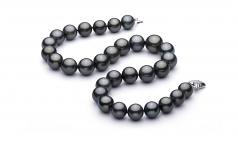 13.1-16mm Di Tahiti Collana en Nero