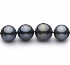 13.1-16mm Di Tahiti Collana en Nero