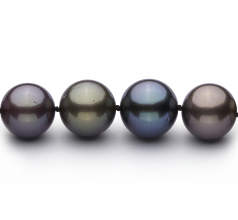 11.1-13.5mm Di Tahiti Collana en Multicolore