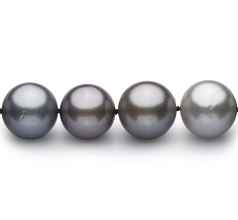 11-14.6mm Di Tahiti Collana en Multicolore
