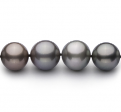 9.2-13.9mm Di Tahiti Collana en Multicolore