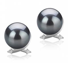10-11mm Di Tahiti Orecchini en Berry Nero