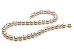 8-8.5mm di Perle Acqua Dolce Collana en Bianco